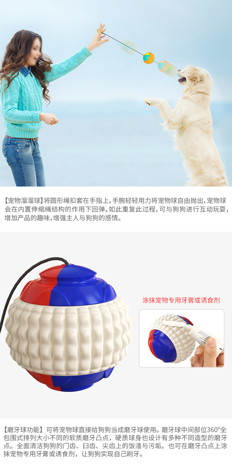 Pet Supplies Factory Wholesale Company New Popular Amazon Molar Long Throws Ring Dog Toy Toothbrush