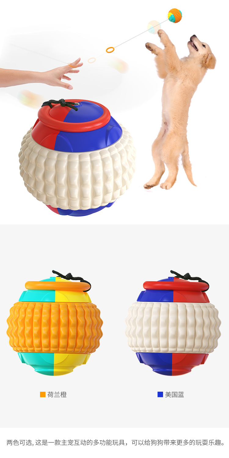 Pet Supplies Factory Wholesale Company New Popular Amazon Molar Long Throws Ring Dog Toy Toothbrush