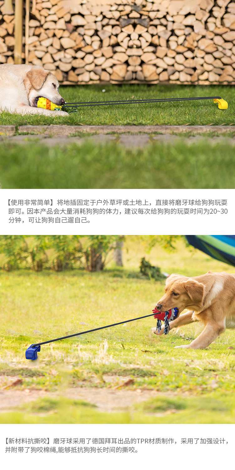 Pet Supplies Factory Wholesale Company New Popular Amazon Molar Long Throws Ring Dog Toy Toothbrush
