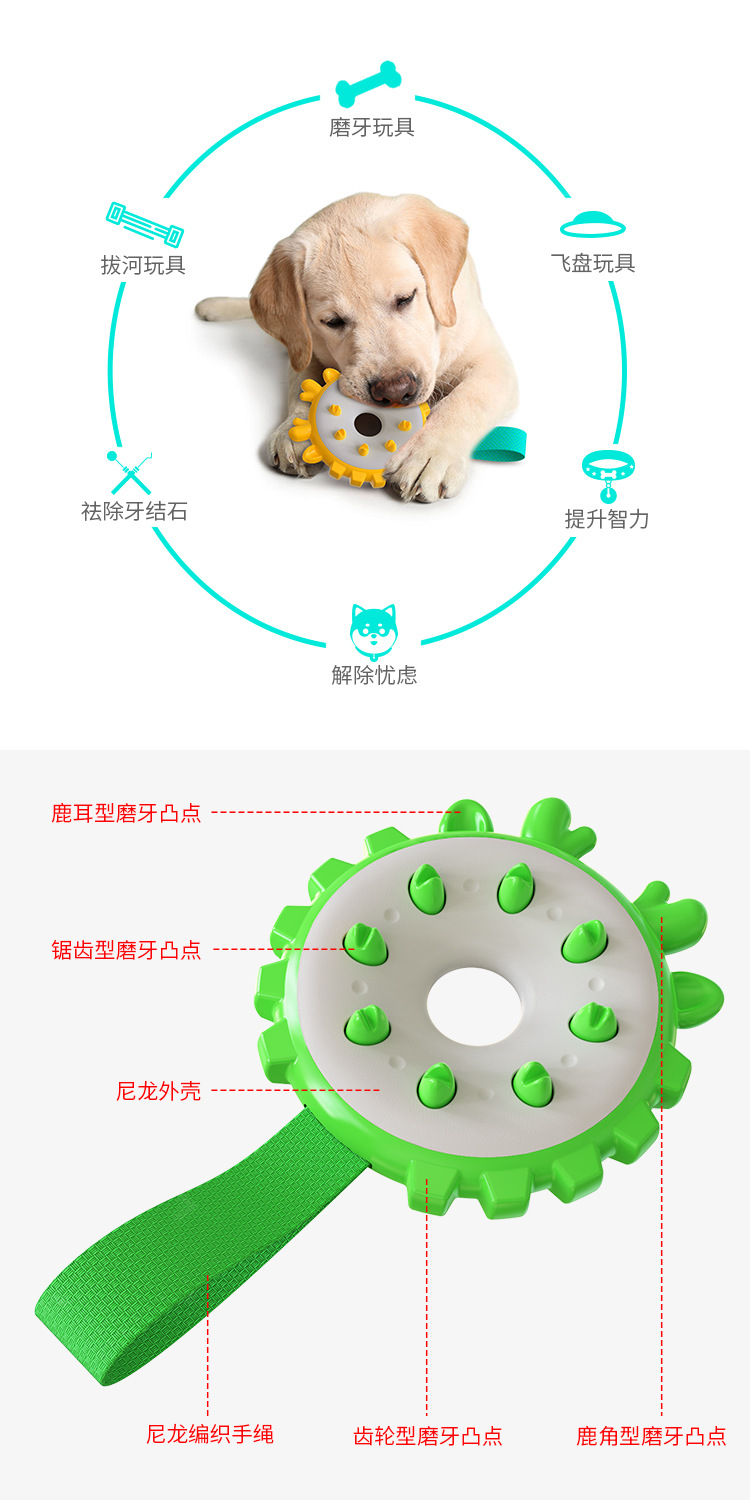 Pet Supplies Factory Wholesale Company New Popular Amazon Molar Long Throws Ring Dog Toy Toothbrush