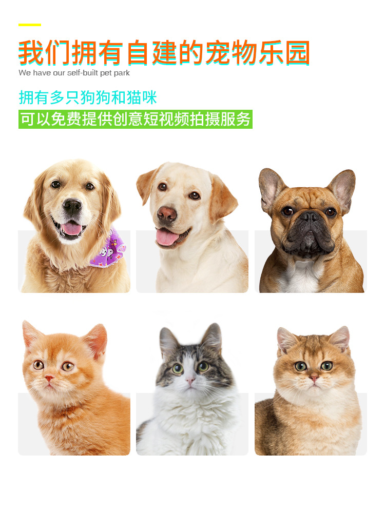 Pet Supplies Factory New Popular Amazon Dog Toy Truncheon Molar Rod Bite-Resistant Tooth Cleaning Dog Toothbrush