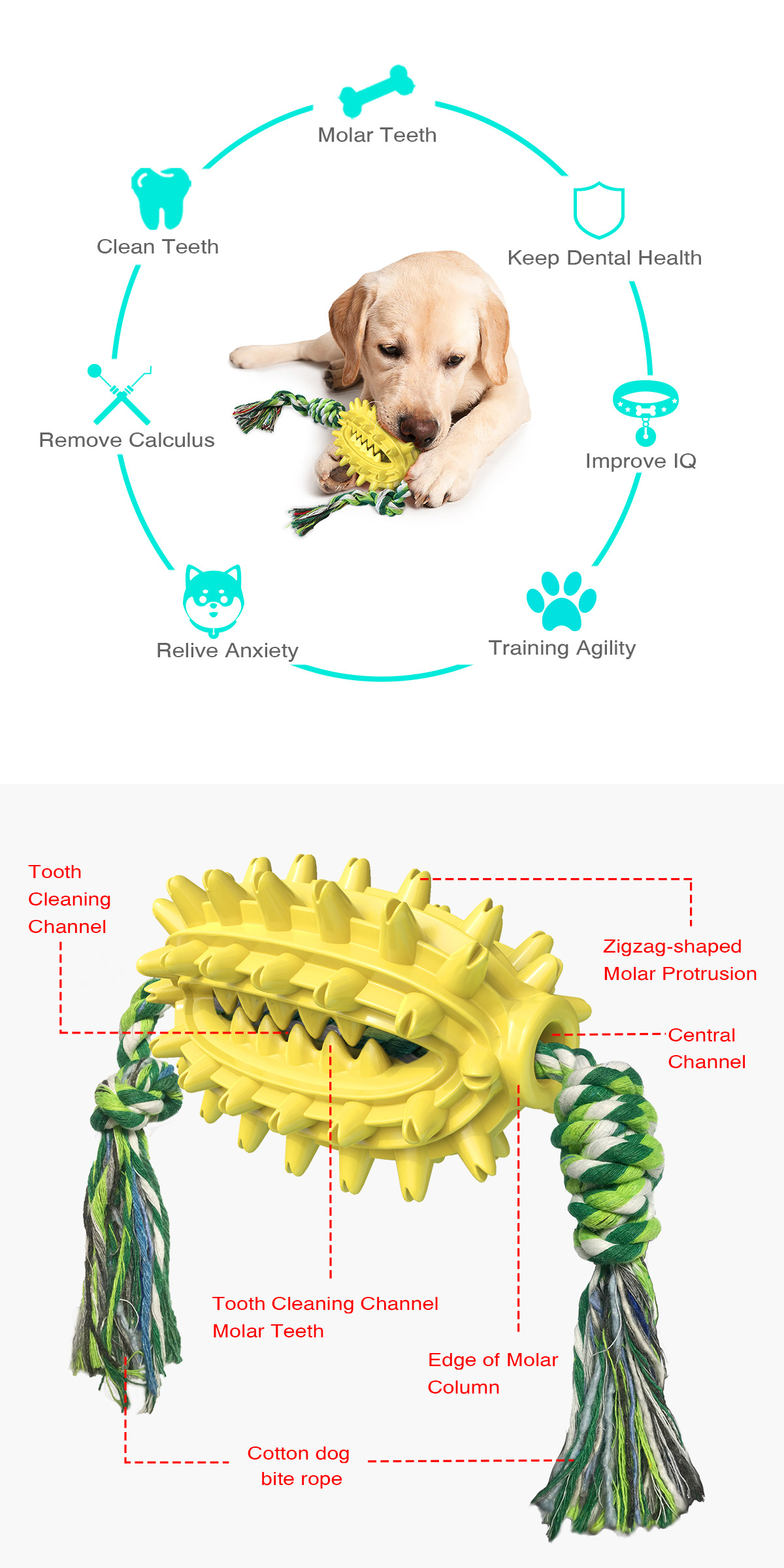 Pet Supplies New Amazon Hot Hot Sale Dog Toys with Rope Cactus Molar Rod Toothbrush Dog Chew Pet Supplies New Amazon Hot Hot Sale Dog Toys with Rope Cactus Molar Rod Toothbrush Dog Chew