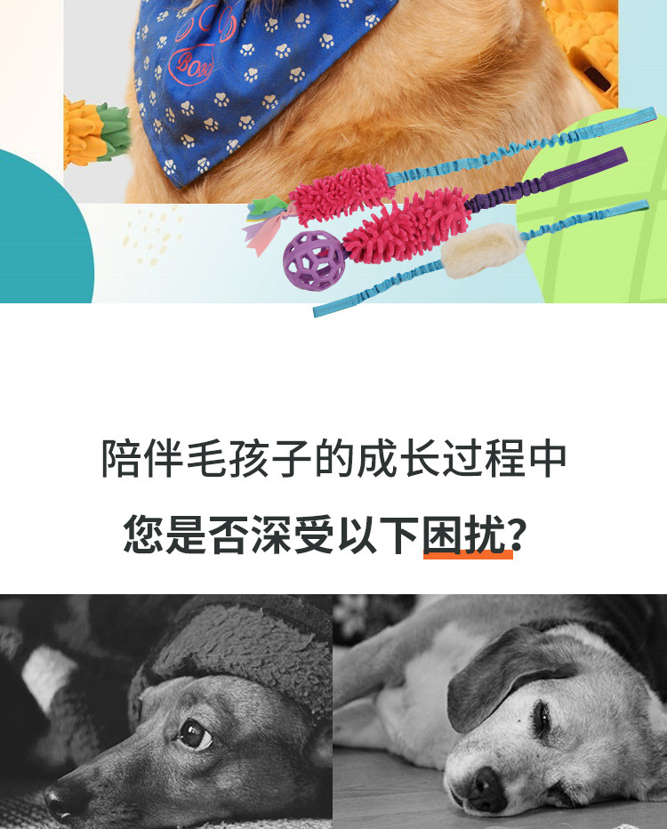 New Plush Dog Mop Biting Toy Vocalization Bite-Resistant Molar Pet Toy Supplies Dog Chew Toy