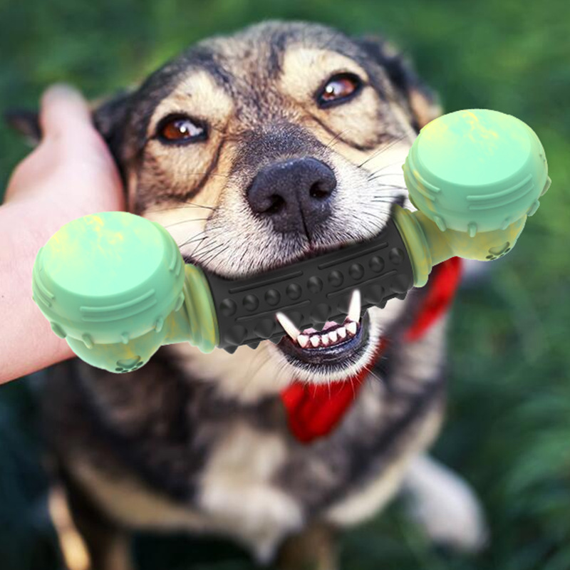 Amazon New Pet Supplies Nylon Bone Dog Chew Toy Simulation Phone Rubber Bite-Resistant Molar Teeth Cleaning