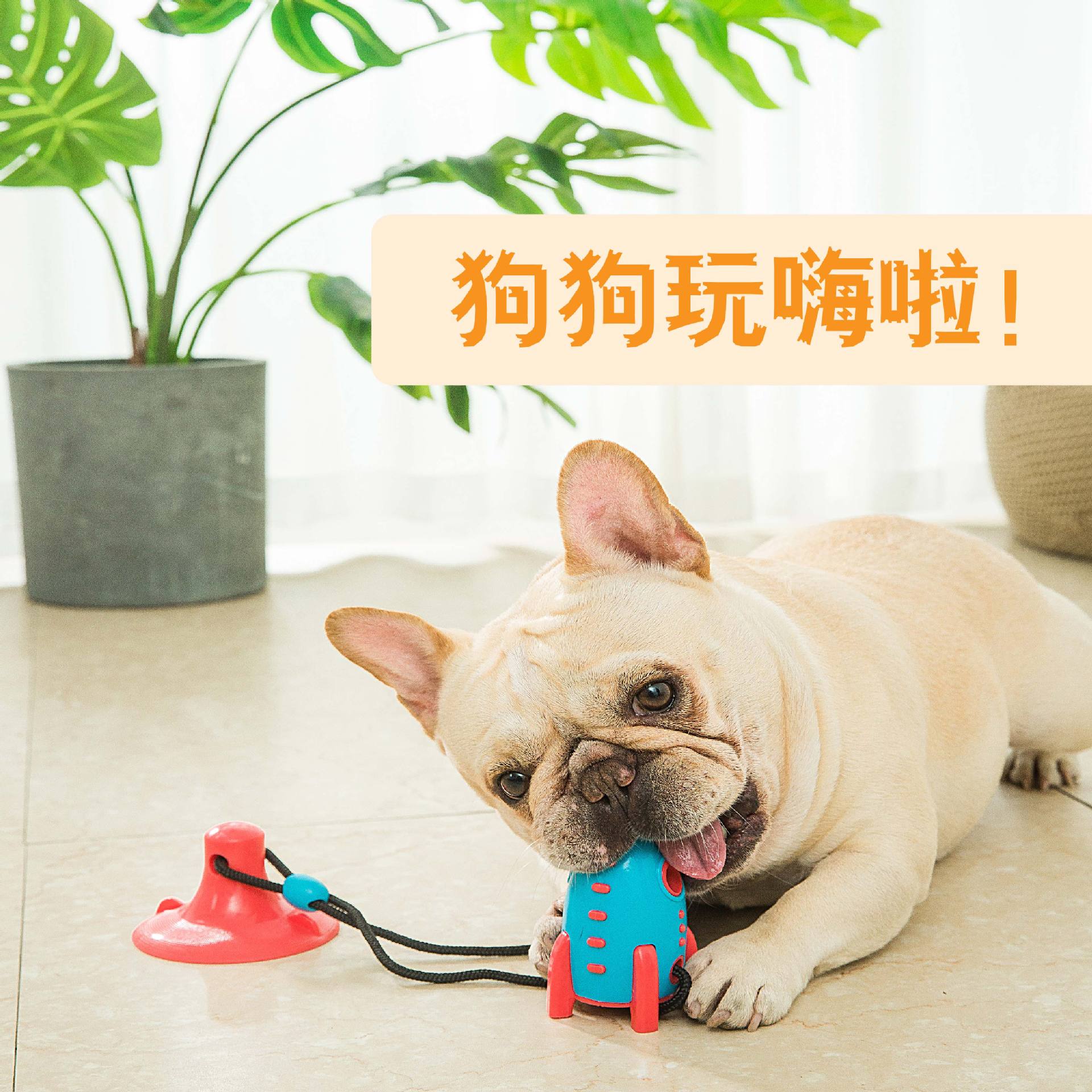 Pet Toy Amazon New Popular Rocket Dog Toy Food Leakage Sucker Dog Chew Bite-Resistant Tooth Cleaning Molar Bone