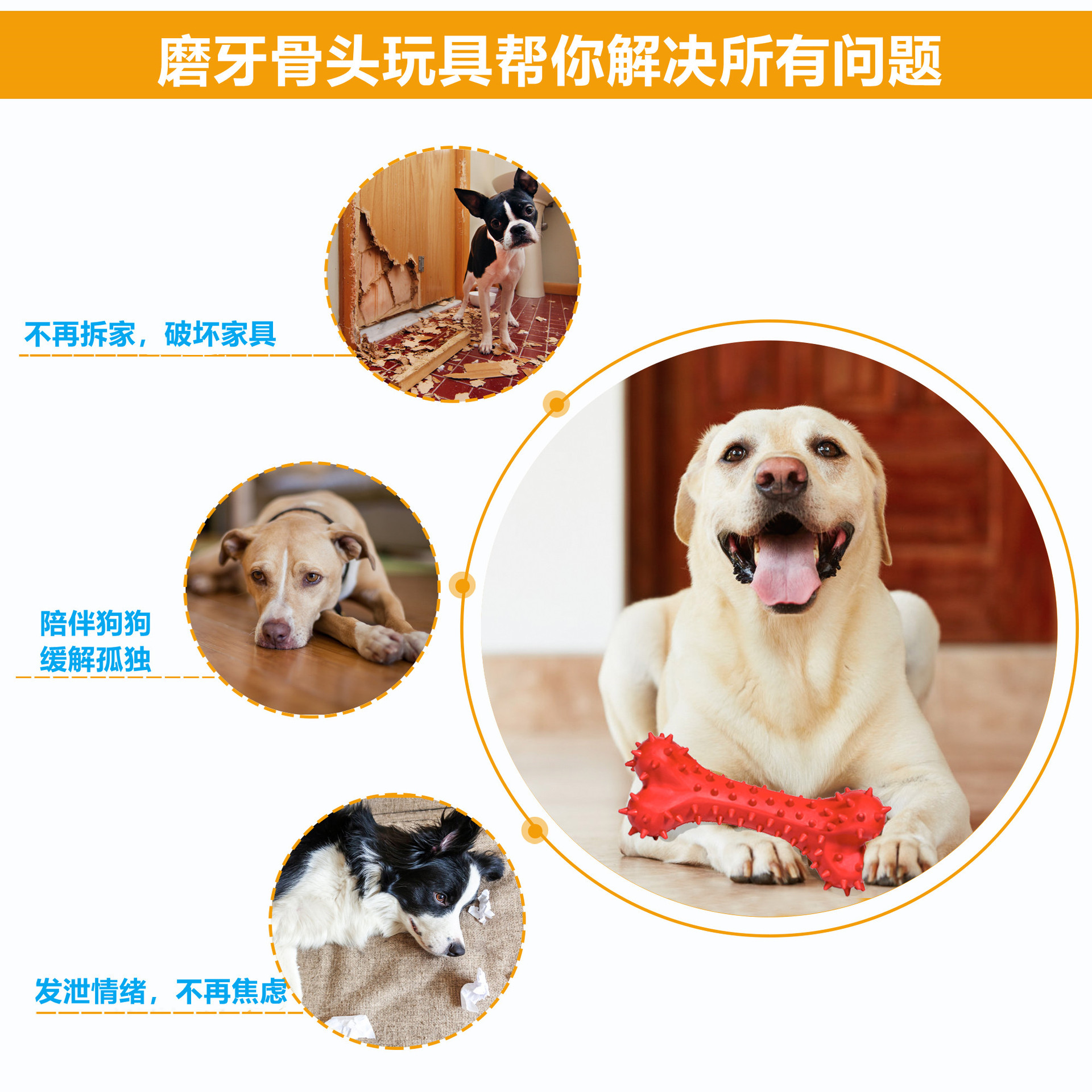 Pet the Toy Dog Bite Molar the Toy Dog Dog Chew Chew Dog the Toy Dog Dog Cleaning Teeth Brushing Molar Rod Pet the Toy Dog Bite Molar the Toy Dog Dog Chew Chew Dog the Toy Dog Dog Cleaning Teeth Brushing Molar Rod