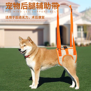 Pet Non-Pouring Glue Dog Bite Relieving Stuffy Molar Toy Dog Chew Educational Training Dog Toy Manufacturer