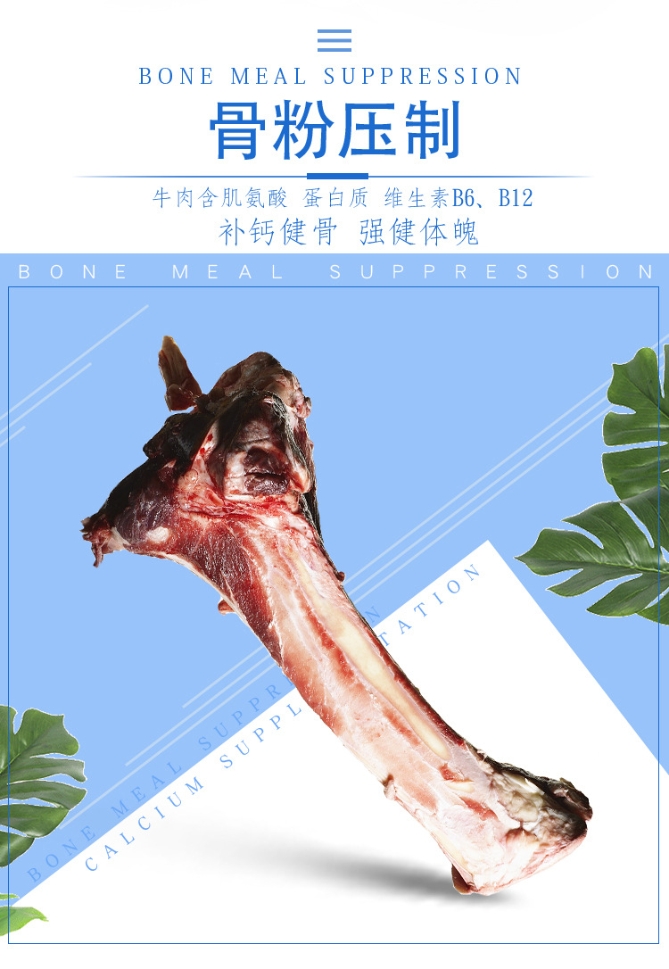 Processing Pet Snacks Manufacturers Dog Tooth Cleaning Bone Pet Grinding Stick Dog Snacks Wholesale Dog Dog Chew Processing Pet Snacks Manufacturers Dog Tooth Cleaning Bone Pet Grinding Stick Dog Snacks Wholesale Dog Dog Chew