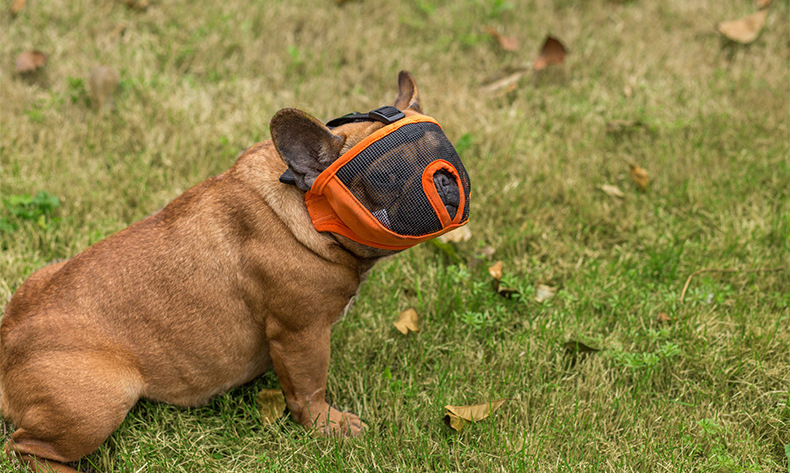 Factory Direct Sales Quality Bulldog Eye Mask Short Nasal Cavity Dog Mask Dog Anti-Bite/Anti-Bark Muzzle Factory Direct Sales Quality Bulldog Eye Mask Short Nasal Cavity Dog Mask Dog Anti-Bite/Anti-Bark Muzzle