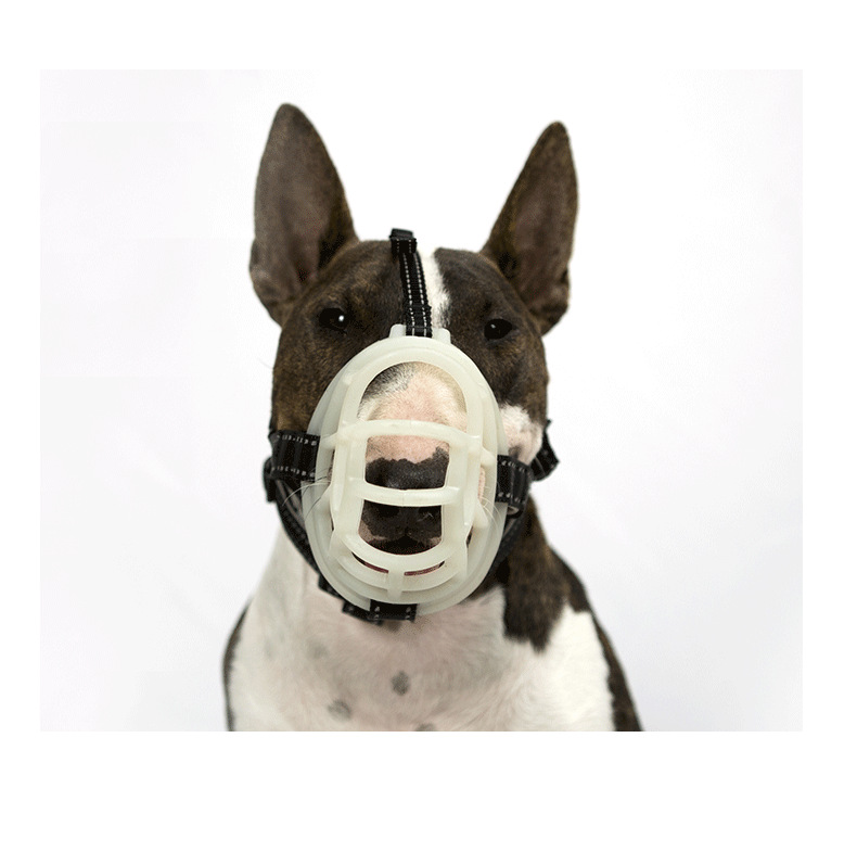 Amazon New Fluorescent Silicone Muzzle for Dogs Pet Supplies Dog Muzzle Adjustable Breathable Anti-Bite/Anti-Bark Muzzle Amazon New Fluorescent Silicone Muzzle for Dogs Pet Supplies Dog Muzzle Adjustable Breathable Anti-Bite/Anti-Bark Muzzle