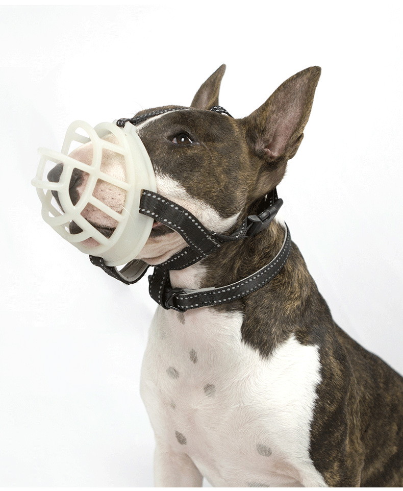 Amazon New Fluorescent Silicone Muzzle for Dogs Pet Supplies Dog Muzzle Adjustable Breathable Anti-Bite/Anti-Bark Muzzle Amazon New Fluorescent Silicone Muzzle for Dogs Pet Supplies Dog Muzzle Adjustable Breathable Anti-Bite/Anti-Bark Muzzle