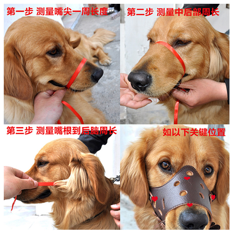 Dog Mouth Cover Dog Muzzles Anti-Biting/Anti-Barking Eating Indiscriminately Medium Large Dog Dog Mask Golden Retriever Bark Stopper Pet Muzzle Dog Mouth Cover Dog Muzzles Anti-Biting/Anti-Barking Eating Indiscriminately Medium Large Dog Dog Mask Golden Retriever Bark Stopper Pet Muzzle