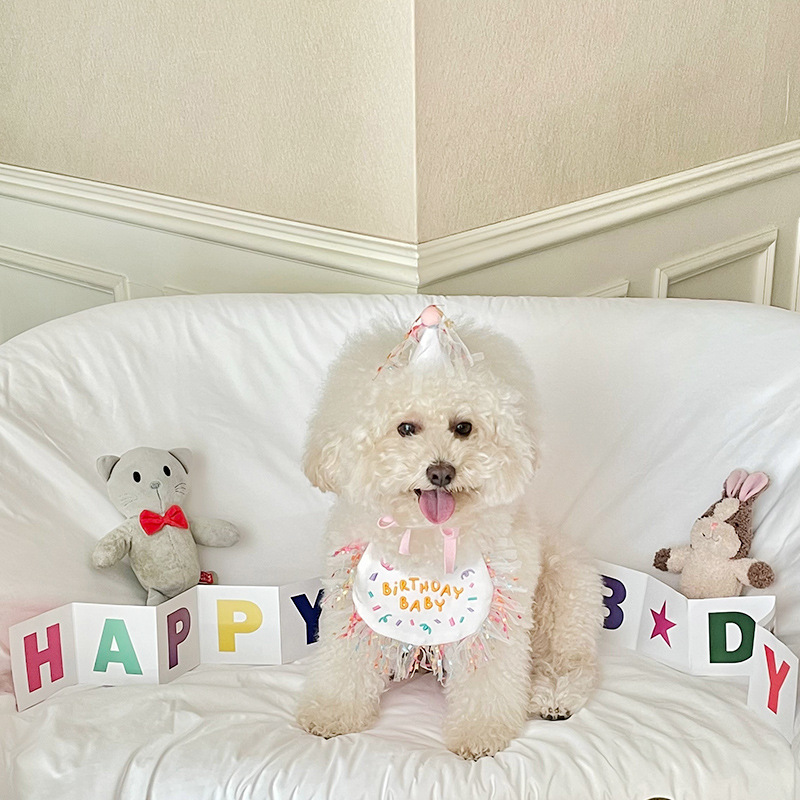 Korean Dog Dog Party Bib Pet Birthday Saliva Towel Bichon Triangular Binder Scarf Cat Pets