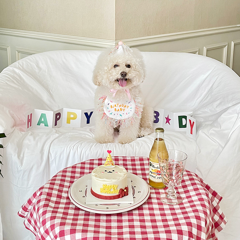 Korean Dog Dog Party Bib Pet Birthday Saliva Towel Bichon Triangular Binder Scarf Cat Pets