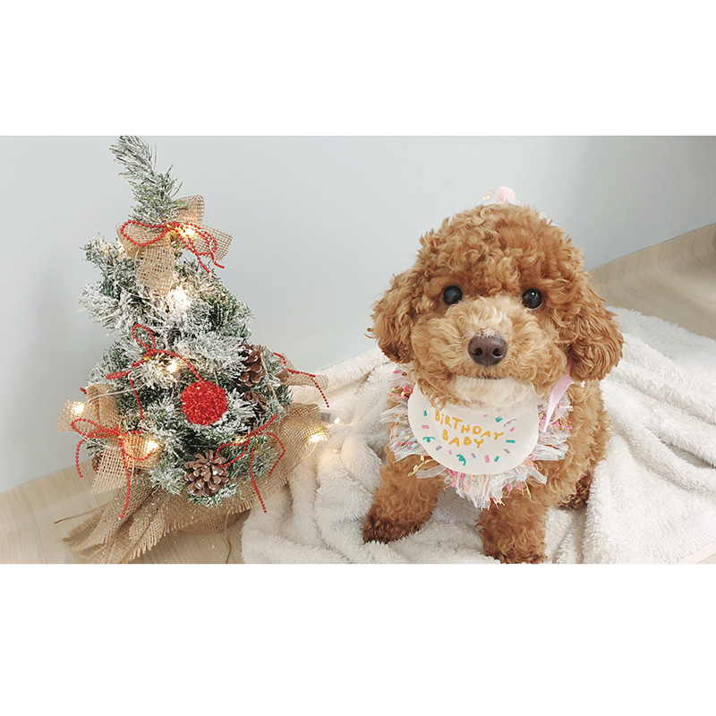 Korean Dog Dog Party Bib Pet Birthday Saliva Towel Bichon Triangular Binder Scarf Cat Pets