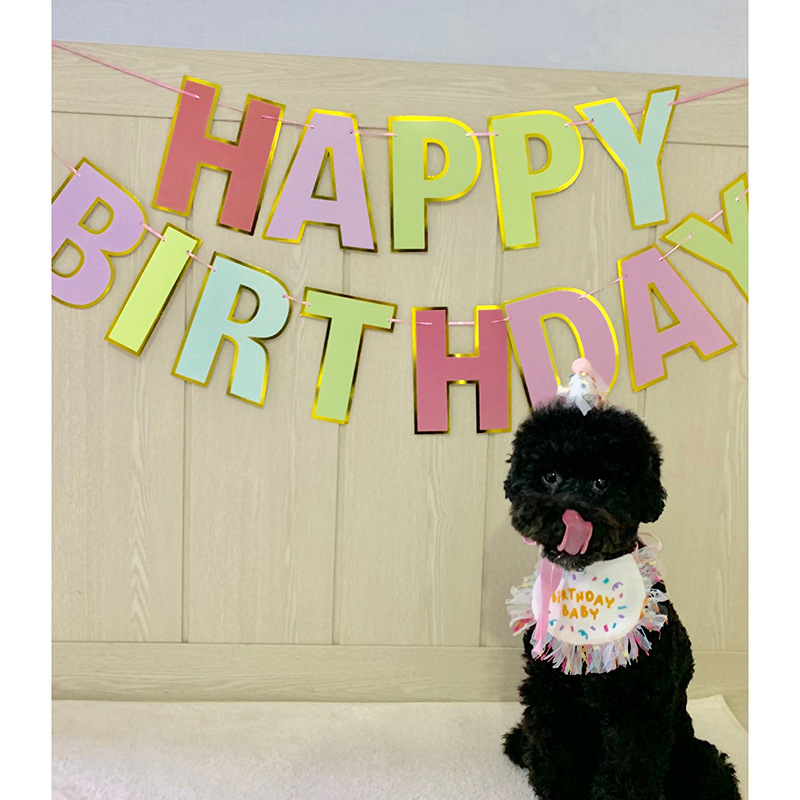Korean Dog Dog Party Bib Pet Birthday Saliva Towel Bichon Triangular Binder Scarf Cat Pets