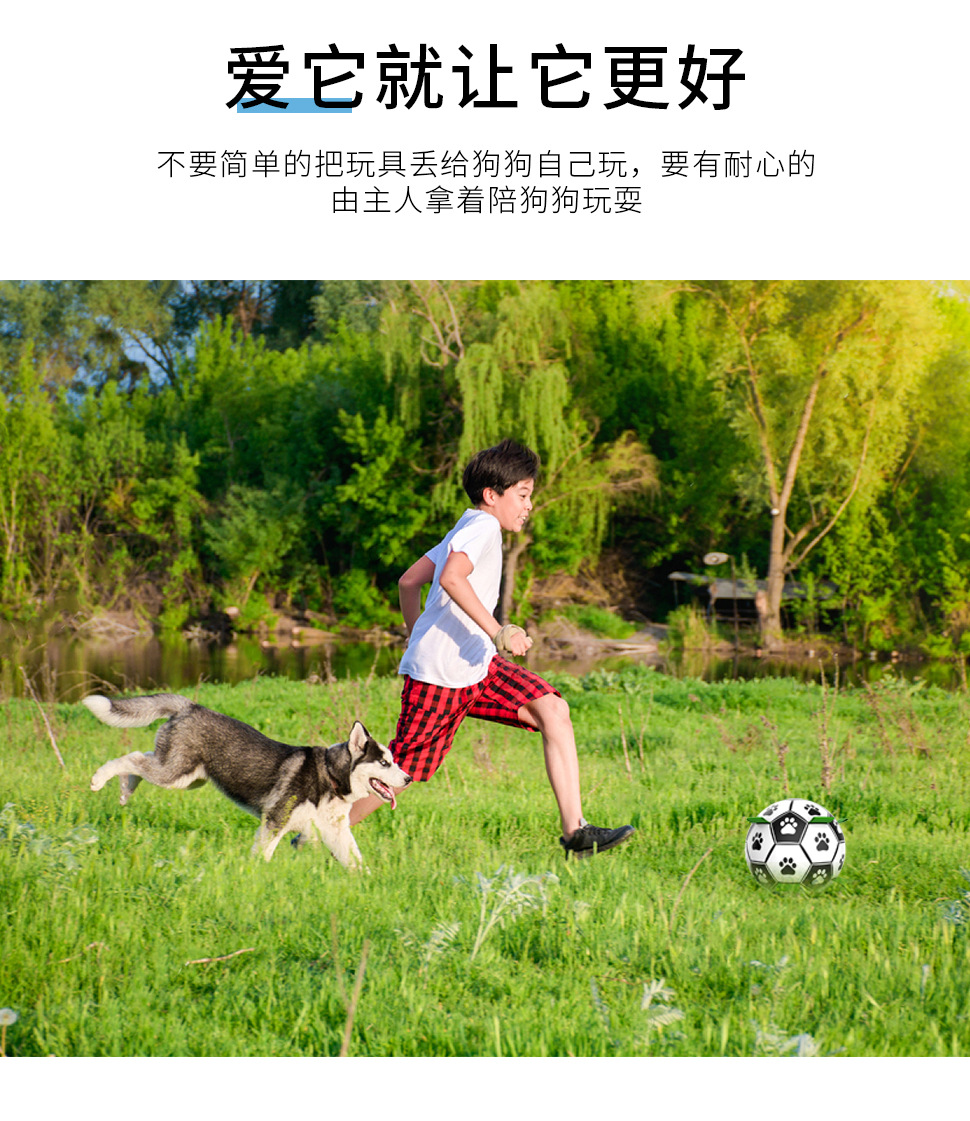 Amazon Hot Pet Supplies Dog Ball Toy Outdoor Multifunctional Interactive Rope Dog Football Dog Toy Amazon Hot Pet Supplies Dog Ball Toy Outdoor Multifunctional Interactive Rope Dog Football Dog Toy