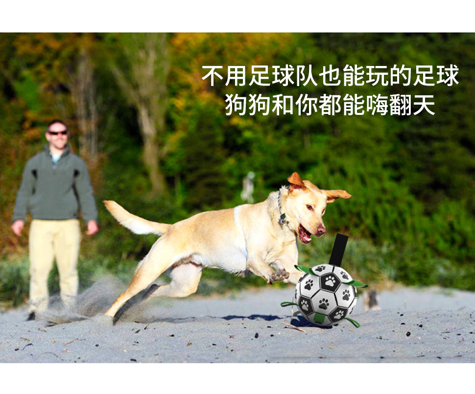 Amazon Hot Pet Supplies Dog Ball Toy Outdoor Multifunctional Interactive Rope Dog Football Dog Toy Amazon Hot Pet Supplies Dog Ball Toy Outdoor Multifunctional Interactive Rope Dog Football Dog Toy