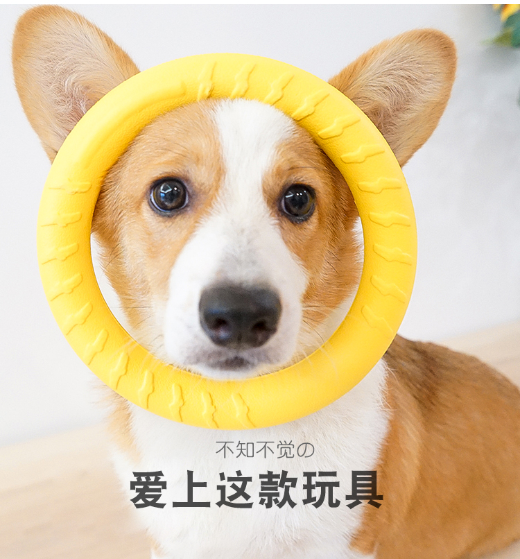 One Piece Dropshipping Pet Dog EVA Training Frisbee Dog Training Pull Ring Bite-Resistant Molar Pet Ball Floating Water Toy