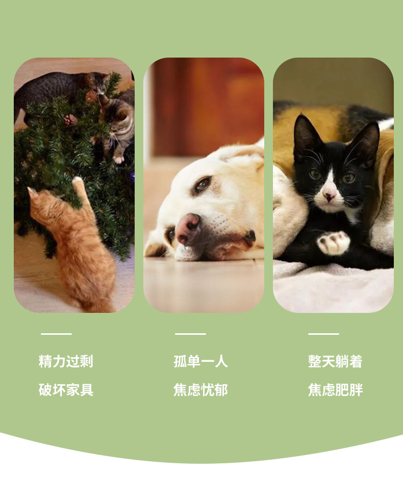 Dog Bite Ball Food Dropping Ball Bite-Resistant Pet the Toy Dog Dog Toy Molar Toy Ball Elastic Ball Rubber Tooth Cleaning TPR