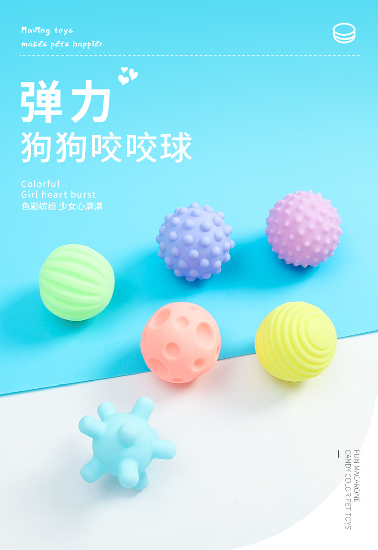 Pet Puppy Toy Ball Vocal Ball Combination 6-Piece Set Teddy Bichon Puppy Dog Toy Pet Supplies Pet Puppy Toy Ball Vocal Ball Combination 6-Piece Set Teddy Bichon Puppy Dog Toy Pet Supplies