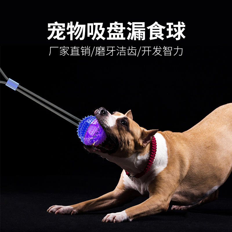Pet Supplies 2020 Amazon Hot Selling Dog Toys Pet Sucker Food Dropping Ball Pet Toy Ball Dog Toothbrush