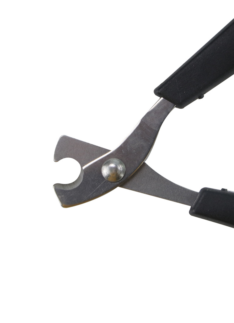Pet Supplies Amazon Hot Stainless Steel Pet Nail Clipper Small Dog Cat Nail Clippers Cat Nail Clippers Pet Supplies Amazon Hot Stainless Steel Pet Nail Clipper Small Dog Cat Nail Clippers Cat Nail Clippers