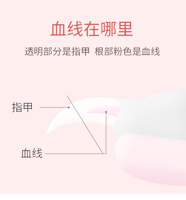Pet Nail Clipper Nail Clippers with File Pet Beauty Nail Clippers Stainless Steel Nail Clippers 