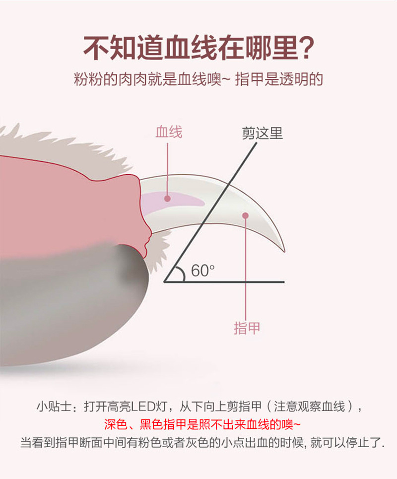 Cat Nail Clippers Nail Piercing Device Dog Nail Clippers Pet Nail Clipper LED Light Anti-Blood Position Manicure Supplies Cat Nail Clippers Nail Piercing Device Dog Nail Clippers Pet Nail Clipper LED Light Anti-Blood Position Manicure Supplies