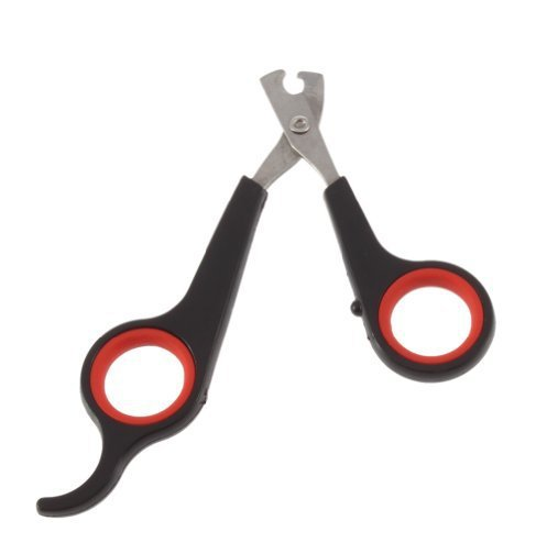 Pet Nail Clipper Stainless Steel Dog Nail Clippers Cat Nail Scissors Pet Dog Beauty Supplies Pet Nail Clipper Stainless Steel Dog Nail Clippers Cat Nail Scissors Pet Dog Beauty Supplies