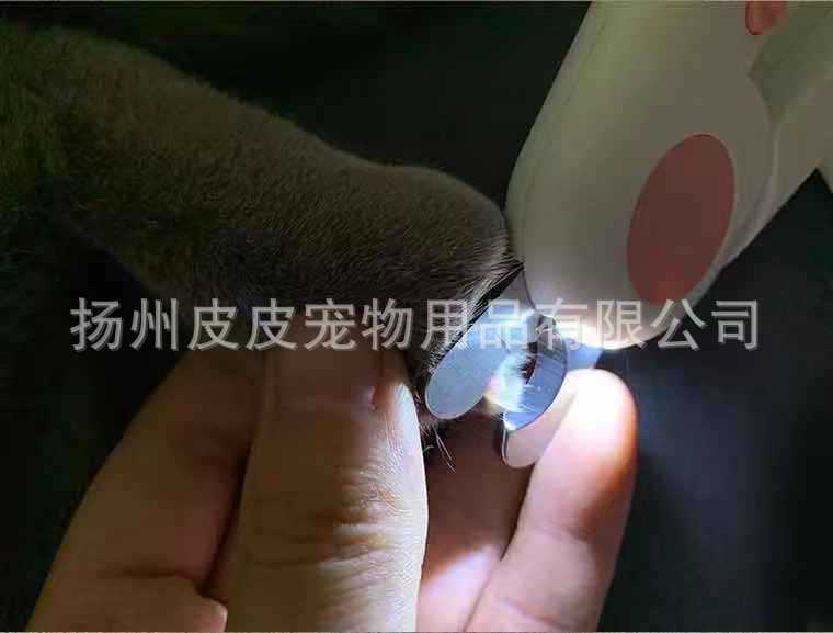 Manufacturer Cat Nail Clippers Nail Piercing Device Dog Nail Clippers Pet Nail Clipper LED Light Anti-Blood Position Manicure Manufacturer Cat Nail Clippers Nail Piercing Device Dog Nail Clippers Pet Nail Clipper LED Light Anti-Blood Position Manicure