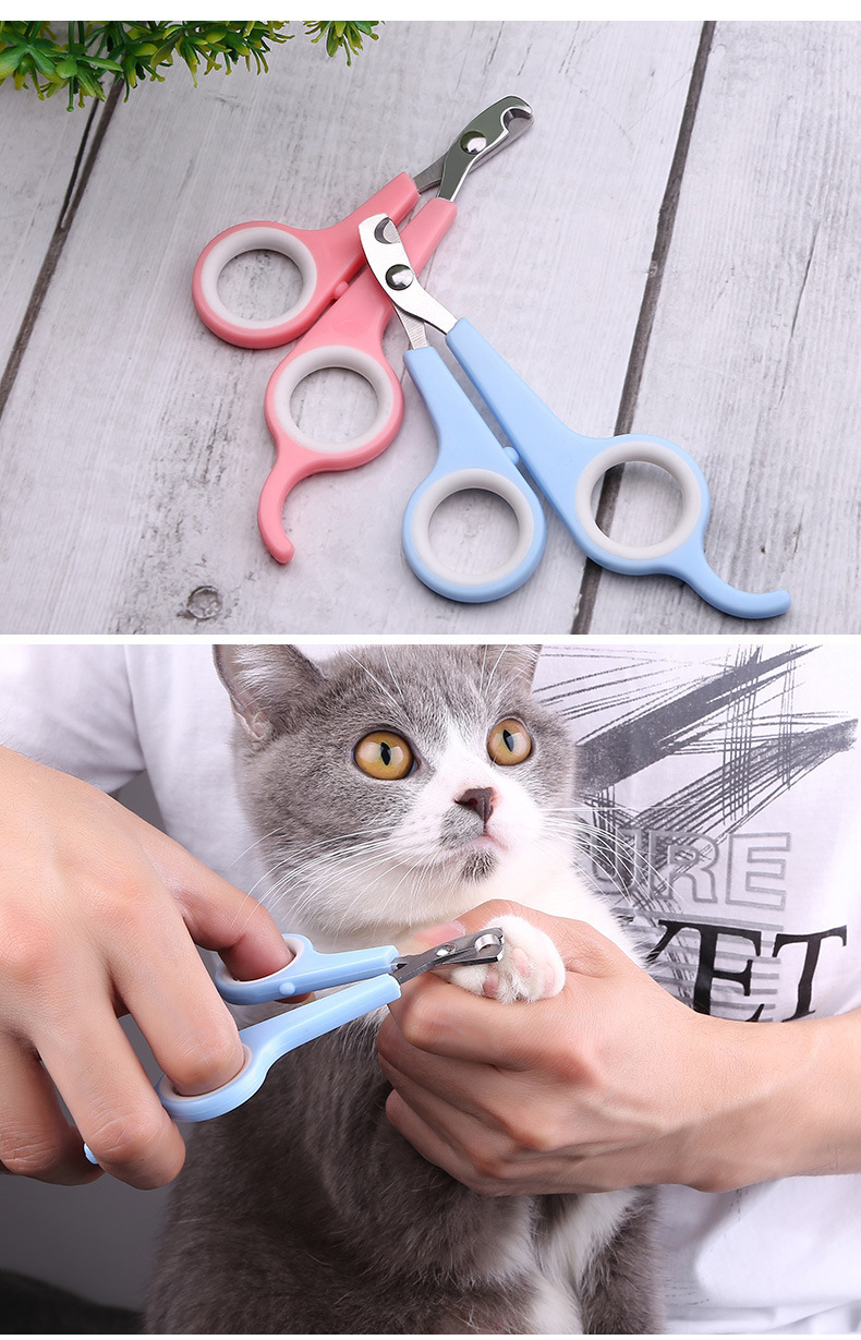 Pet Nail Clipper Cat Nail Clippers Cat Scissors Pet Nail Clippers Pet Nail Clipper Cat Nail Clippers Cat Scissors Pet Nail Clippers