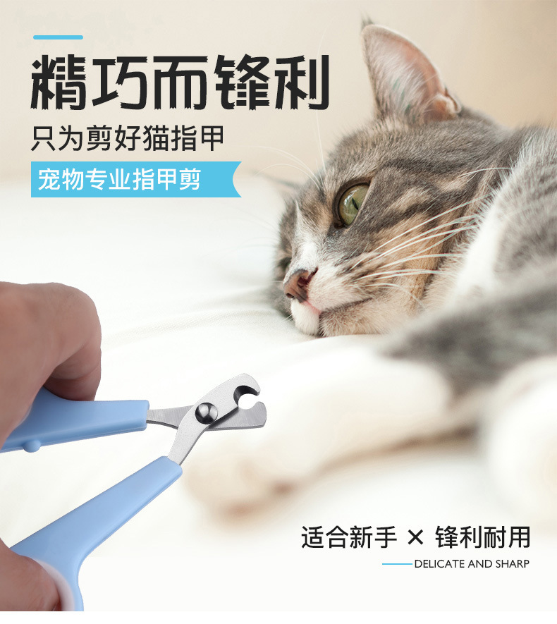 Pet Nail Clipper Cat Nail Clippers Cat Scissors Pet Nail Clippers Pet Nail Clipper Cat Nail Clippers Cat Scissors Pet Nail Clippers