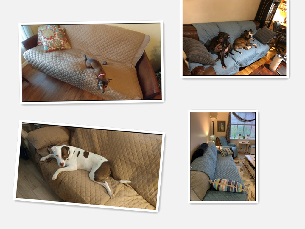 Amazon Hot Waterproof Non-Slip Pet Sofa Cushion Wholesale Four Seasons Universal Integrated Sofa Slipcover Sofa Cushion Amazon Hot Waterproof Non-Slip Pet Sofa Cushion Wholesale Four Seasons Universal Integrated Sofa Slipcover Sofa Cushion