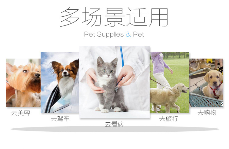 Spot Portable Cat Bag Space Capsule Laser Pet Backpack Large Capacity Backpack Cat Transparent Bag