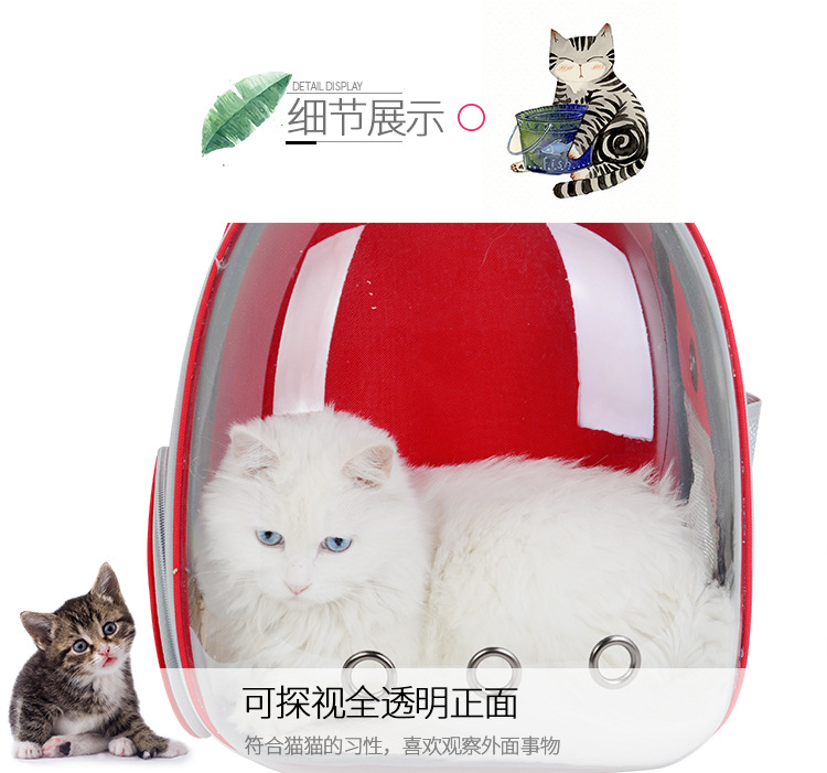 SOURCE Factory Transparent Pet Bag Solid Color Portable Dog Bag Outdoor Cat Bag Large Capacity Pet Backpack Pet Supplies SOURCE Factory Transparent Pet Bag Solid Color Portable Dog Bag Outdoor Cat Bag Large Capacity Pet Backpack Pet Supplies