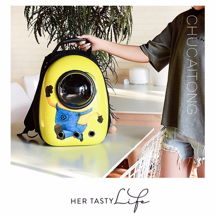 Double Shoulder Breathable Space Capsule Pet Backpack Carry out Transparent Dogs and Cats Backpack Pet Supplies Pet Bag