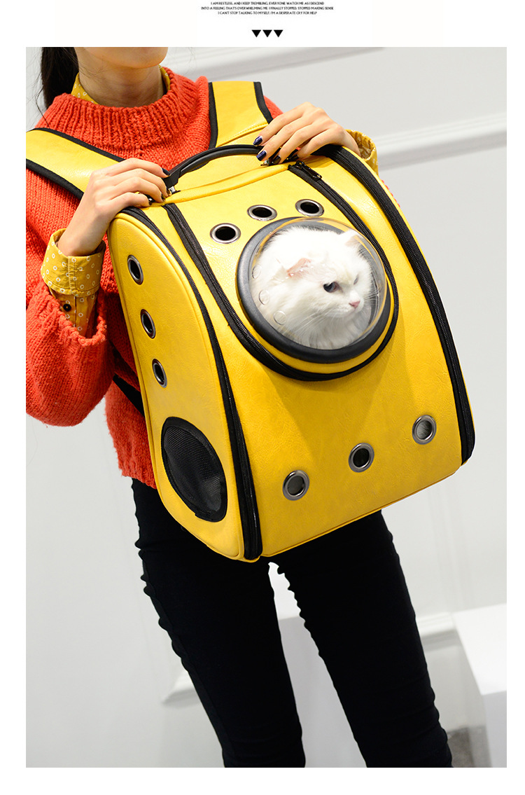 Cross-Border Pure Color Pu Pet Backpack for Outing Portable Pet Bag Cat Bag Pet Dog Backpack Pet Supplies Cross-Border Pure Color Pu Pet Backpack for Outing Portable Pet Bag Cat Bag Pet Dog Backpack Pet Supplies