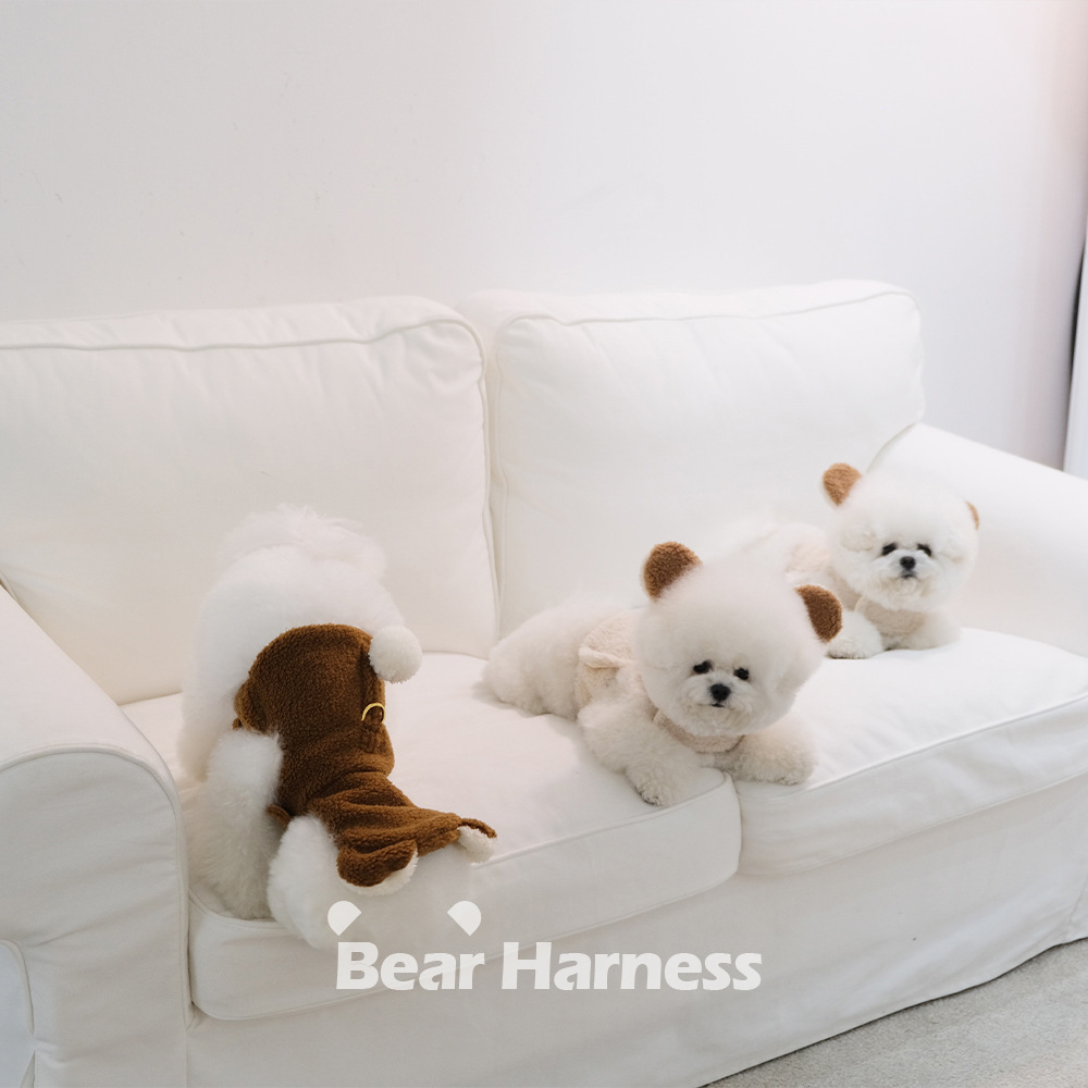 Spot Ins Korean Bear Stand Ear Cap Chest Back Pet Dog Bichon Maltese Small Dog Hand Holding Rope Spot Ins Korean Bear Stand Ear Cap Chest Back Pet Dog Bichon Maltese Small Dog Hand Holding Rope