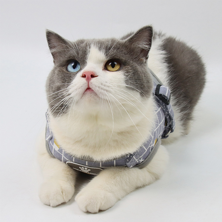 Pet Leash Vest-Style Dog Breast Strap Small and Medium-Sized Dogs Leash Cat Chest Back Currently Available Wholesale Pet Leash Vest-Style Dog Breast Strap Small and Medium-Sized Dogs Leash Cat Chest Back Currently Available Wholesale