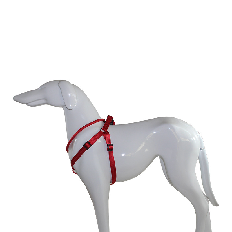 Processing Customized Pet Supplies Hand Holding Rope Dog Chest and Back Nylon Dog Rope Amazon Pet Collar Processing Customized Pet Supplies Hand Holding Rope Dog Chest and Back Nylon Dog Rope Amazon Pet Collar