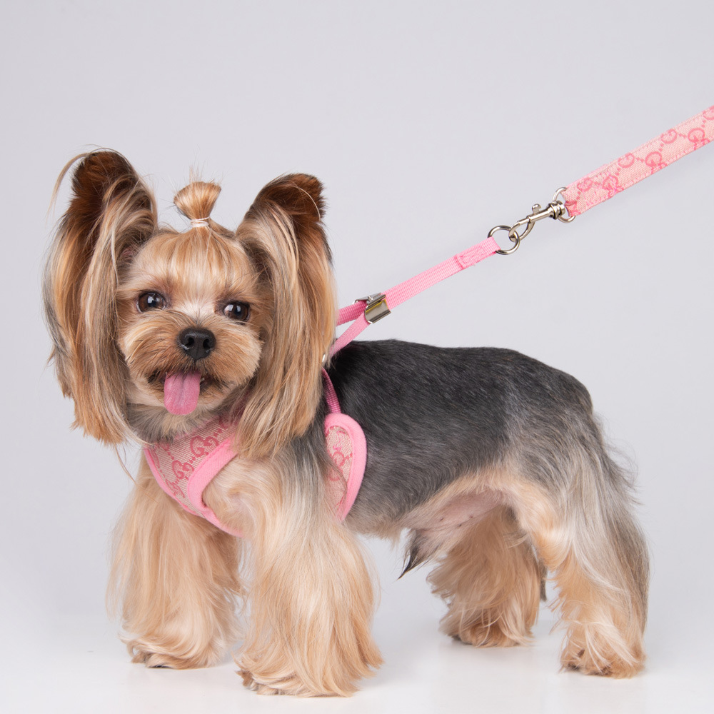 Amazon New Style Pet's Chest-Back Dog Hand Holding Rope Dog Rope out Collar Hand Holding Rope Pet Supplies Factory Amazon New Style Pet's Chest-Back Dog Hand Holding Rope Dog Rope out Collar Hand Holding Rope Pet Supplies Factory