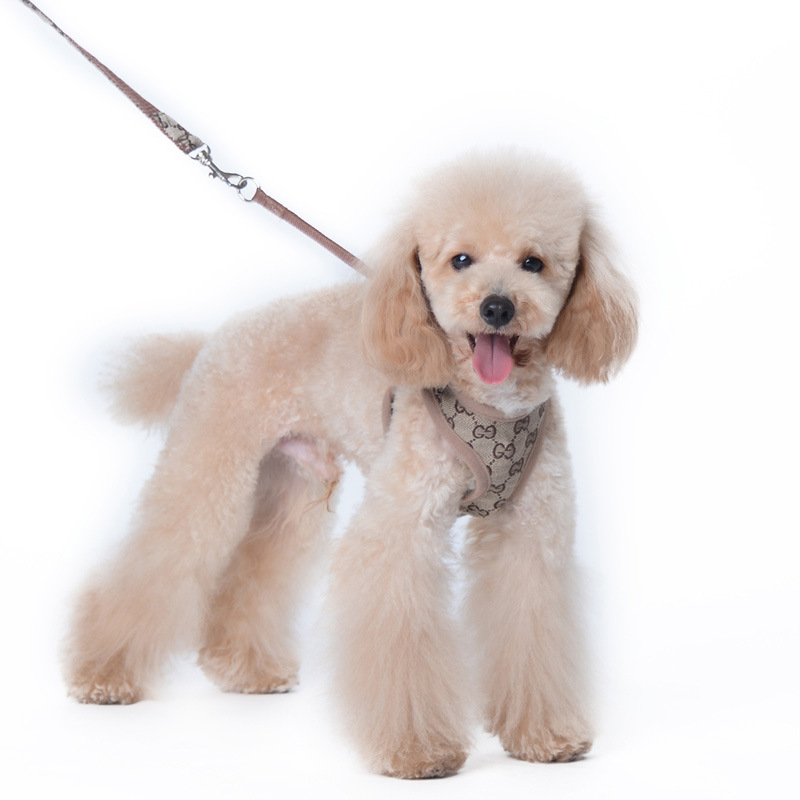 Amazon New Style Pet's Chest-Back Dog Hand Holding Rope Dog Rope out Collar Hand Holding Rope Pet Supplies Factory Amazon New Style Pet's Chest-Back Dog Hand Holding Rope Dog Rope out Collar Hand Holding Rope Pet Supplies Factory