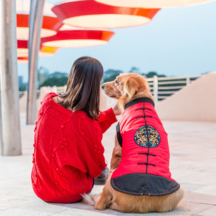 New Autumn and Winter Puppy Dog Spring Sweater Cat Two Feet Apparel Small Dog Cute Cartoon Tie Pet Clothes