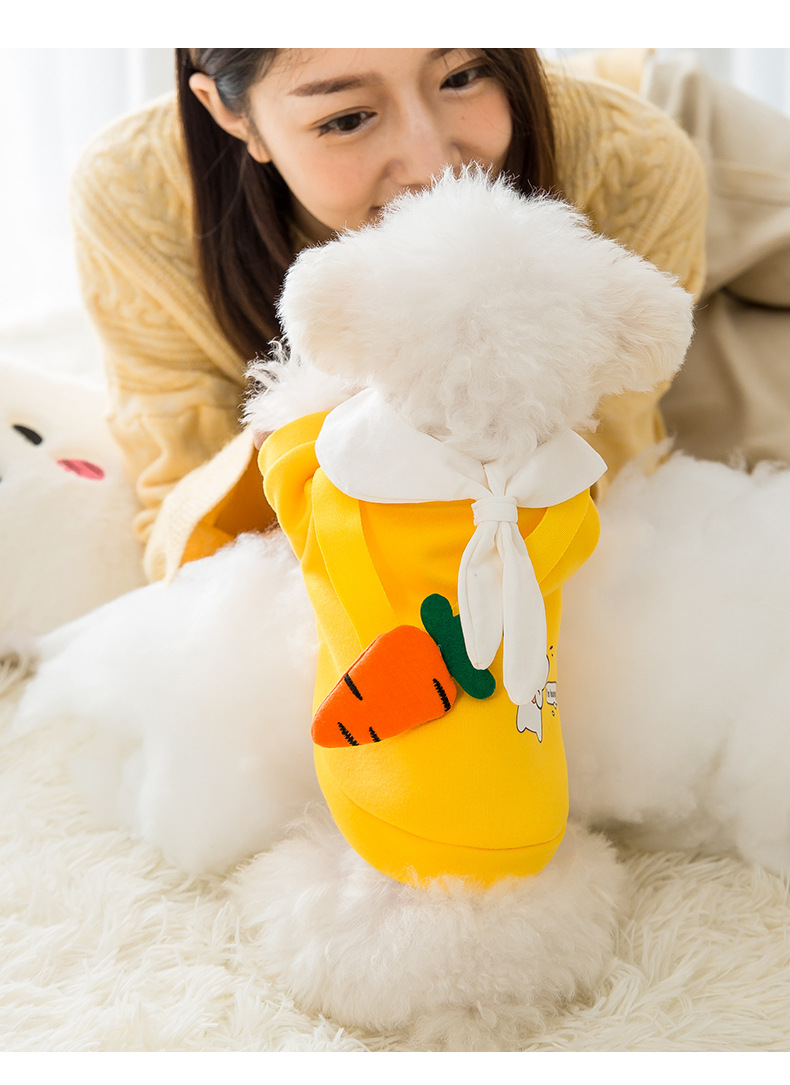 New Autumn and Winter Puppy Dog Spring Sweater Cat Two Feet Apparel Small Dog Cute Cartoon Tie Pet Clothes