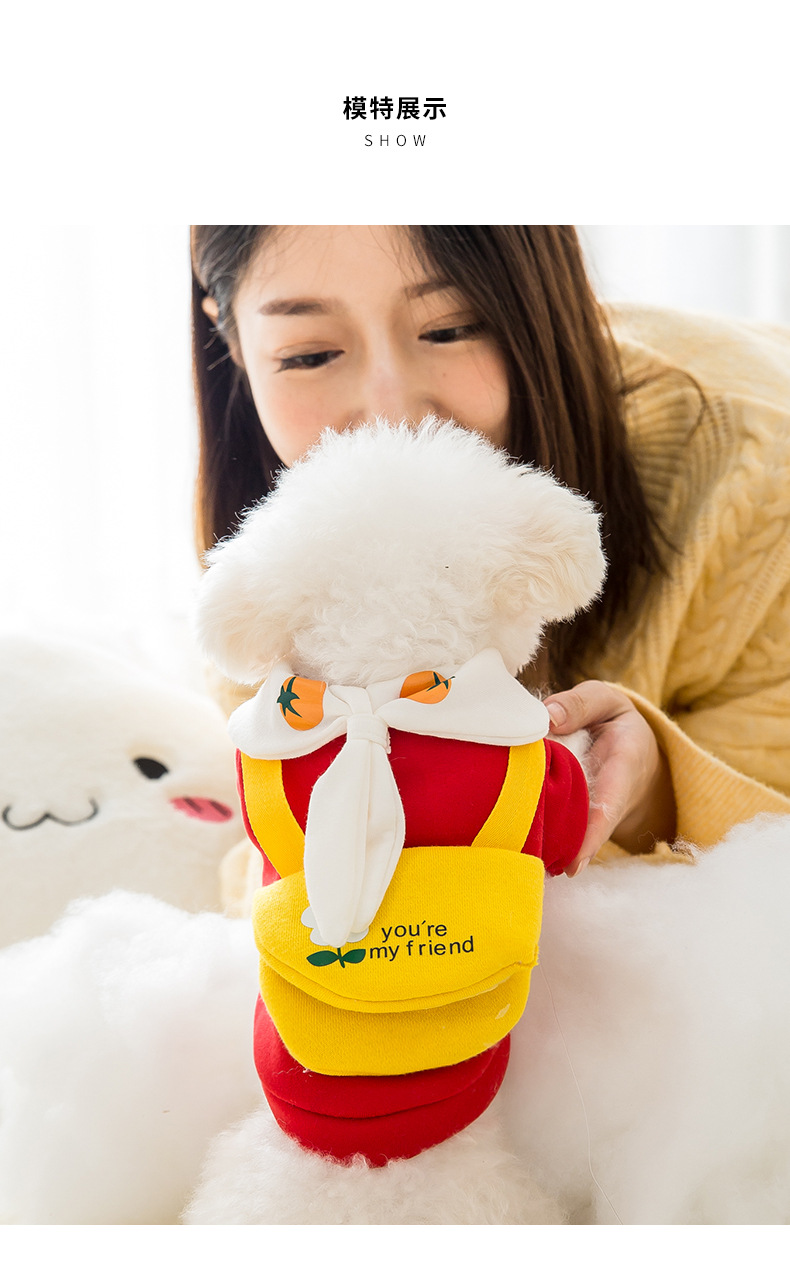 New Autumn and Winter Puppy Dog Spring Sweater Cat Two Feet Apparel Small Dog Cute Cartoon Tie Pet Clothes