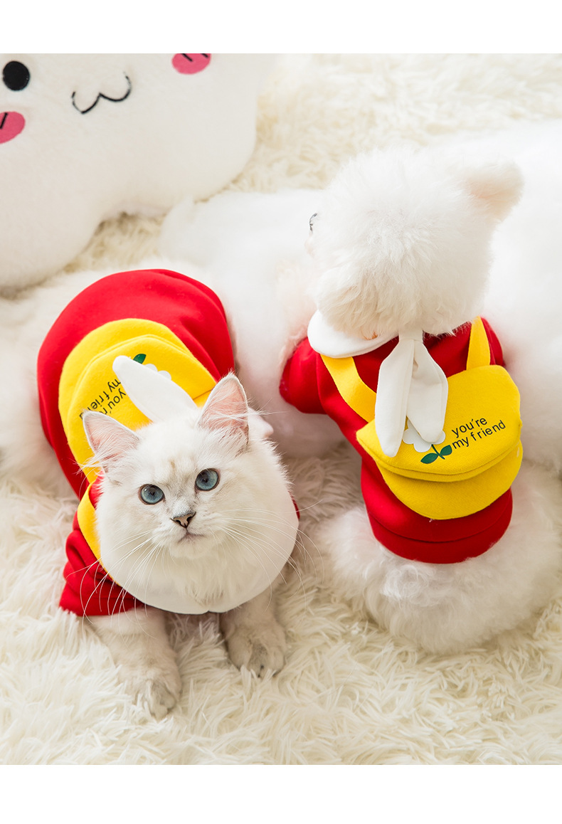 New Autumn and Winter Puppy Dog Spring Sweater Cat Two Feet Apparel Small Dog Cute Cartoon Tie Pet Clothes