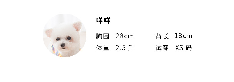 New Autumn and Winter Puppy Dog Spring Sweater Cat Two Feet Apparel Small Dog Cute Cartoon Tie Pet Clothes