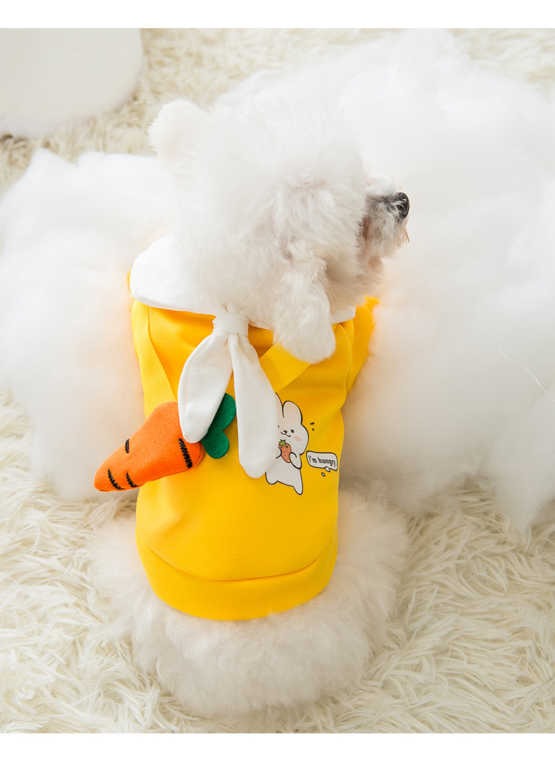 New Autumn and Winter Puppy Dog Spring Sweater Cat Two Feet Apparel Small Dog Cute Cartoon Tie Pet Clothes