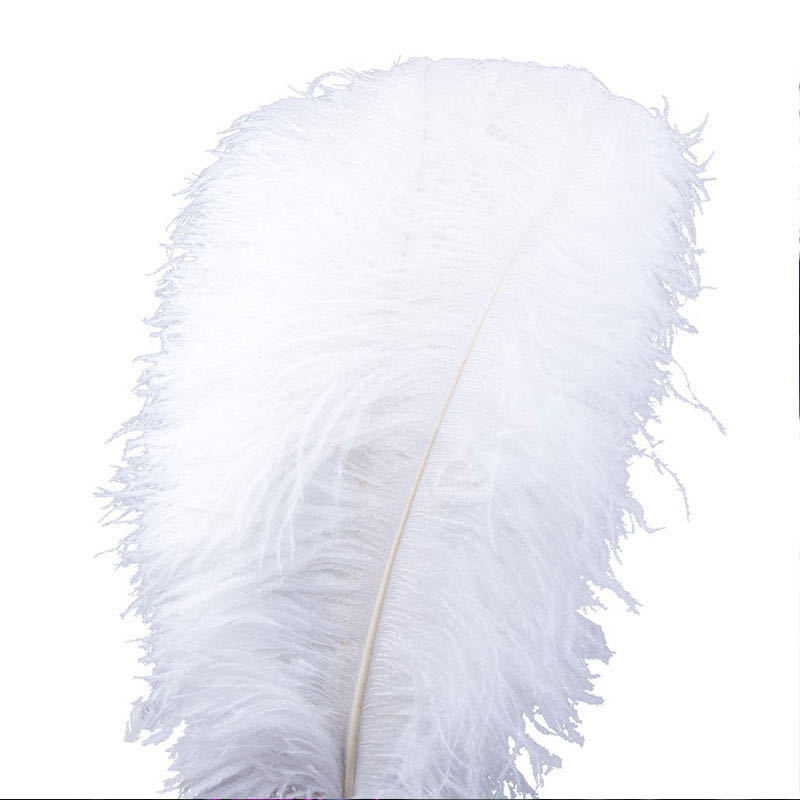 Factory in Stock 65-70cm Colorful Ostrich Feather Wedding Celebration Decoration Stage Props Carnival Feather Table Lamp